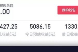 [抖音小程序實戰教程]0基礎小白每天躺賺6000+的抖音小程序實戰教程