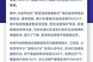 [賺錢項目]一個14天時間做到日利潤1100+的賺錢項目，0基礎0風險，人人可做！