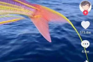 [抖音科普號]抖音科普號7天暴漲111w粉絲！？他如何做到的？