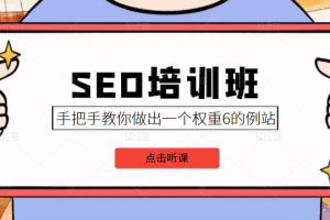 SEO培訓班課程，手把手教你做出一個權重6的例站，價值8000元