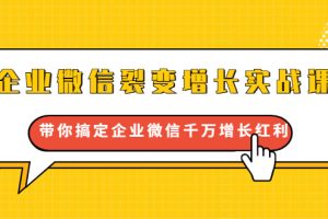 企業微信裂變增長實戰課：帶你搞定企業微信千萬增長紅利，新流量-新玩法