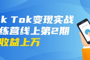 龜課·Tik Tok變現實戰訓練營線上第2期：日入上百+美刀 月收益上萬不成問題