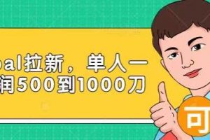Paypal拉新賺美刀項目，單人一天利潤500-1000刀【視頻課程】