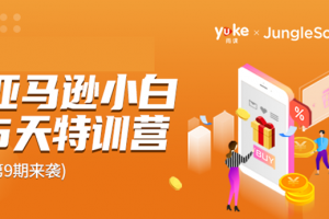 雨課·亞馬遜小白特訓營第9期 跨境電商挺賺錢的 有朋友已經月入幾十萬美金