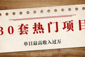 30套熱門項目：單日最高收入過萬 (網(wǎng)賺項目、朋友圈、漲粉套路、抖音、快手)等