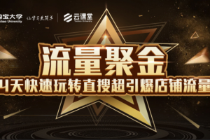 淘寶大學：流量聚金14天快速玩轉直搜，超引爆店鋪流量，價值8800元