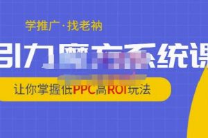 老衲·引力魔方系統(tǒng)課，讓你掌握低PPC高ROI玩法，價(jià)值299元
