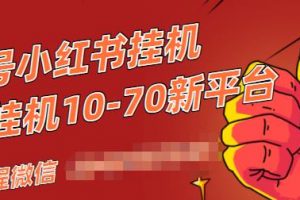 視頻號(hào)小紅書抖音掛機(jī)項(xiàng)目，小白無(wú)腦操作，按照要求來(lái)，單號(hào)每天幾十米