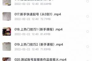 北極星-阿輝短視頻運營實操班，0-1系統教學，?7-15天獨立運營賬號