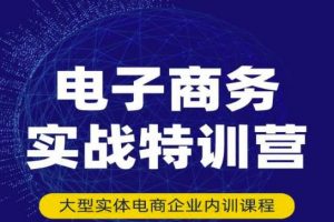 民賽電氣內部出品：電子商務實戰特訓營，全方位帶你入門電商，308種方式玩轉電商