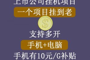 正規掛機項目，支持手機電腦一起掛，支持虛擬機多開，可以掛到老