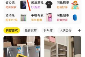 閑魚掛機單號3元/天，每天僅需2分鐘，可無限放大，穩(wěn)定長久掛機項目！