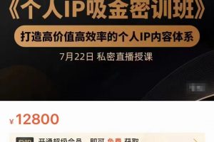個人IP吸金密訓班，打造高價值高效率的個人IP內(nèi)容體系（價值12800元）