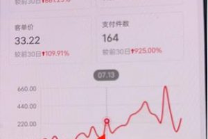 小紅書無貨源第3版，0投入起店，無腦圖文精細化玩法，每天收益300+