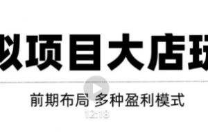 虛擬項目月入幾萬大店玩法分享，多店操作利潤倍增（快速起店盈利）