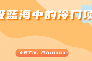 超級藍海中的冷門項目，文檔工作，好玩又賺錢，月入10000+