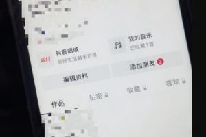 日收益1000+的交友盲盒副業丨有手就行的抖音快手暴力引流