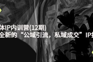 新媒體IP內訓營(12期)，一套全新的“公域引流，私域成交”IP打法，直接帶走