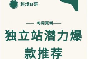 【跨境B哥】獨立站潛力爆款選品推薦，測款出單率高達百分之80（每周更新）