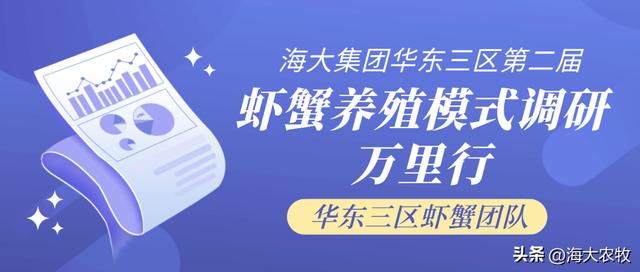 —個10畝魚塘養魚利潤10畝池塘養魚利潤插圖