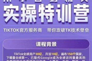 Seven漆·2022Tiktok從小白到精英實操特訓營，帶你掌握Tiktok賬號運營