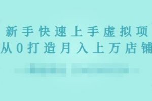2022年虛擬項目實戰指南，新手從0打造月入上萬店鋪【視頻課程】