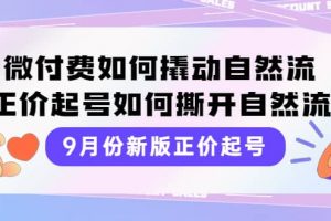 9月份新版正價(jià)起號(hào)，微付費(fèi)如何撬動(dòng)自然流，正價(jià)起號(hào)如何撕開(kāi)自然流
