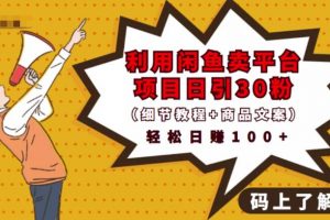 利用閑魚賣平臺項目課程資源日引流30 精準粉絲，輕松日賺100 ，積累人脈可實現二次變現（細節教程 商品文案）