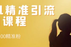 soul精準引流系列課程，每天引流100精準粉