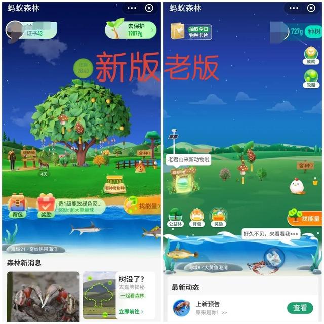 螞蟻森林—天9000能量螞蟻森林一天9000能量森林能量產生規則插圖