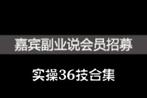 嘉賓副業說實操36技合集，價值1380元