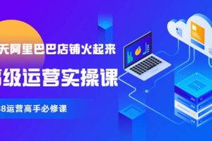 【90天阿里巴巴店鋪火起來(lái)】高級(jí)運(yùn)營(yíng)實(shí)操課，1688運(yùn)營(yíng)高手必修課