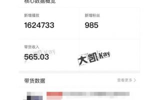 大凱進階圈新玩法之拼多多視頻玩法，利潤大概一個號一天能有500~1500的左右
