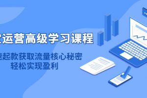 淘寶運營高級學(xué)習(xí)課程：快速獲取流量核心秘密，輕松實現(xiàn)盈利！