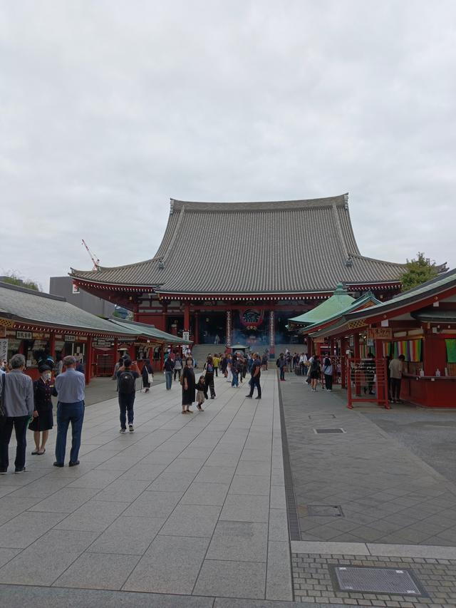 淺草淺草才能沒馬蹄亂花漸欲迷人眼是什么意思插圖1