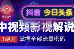 嚴(yán)如意·中視頻影視解說—掌握流量密碼，自媒體運(yùn)營創(chuàng)收，批量運(yùn)營賬號(hào)