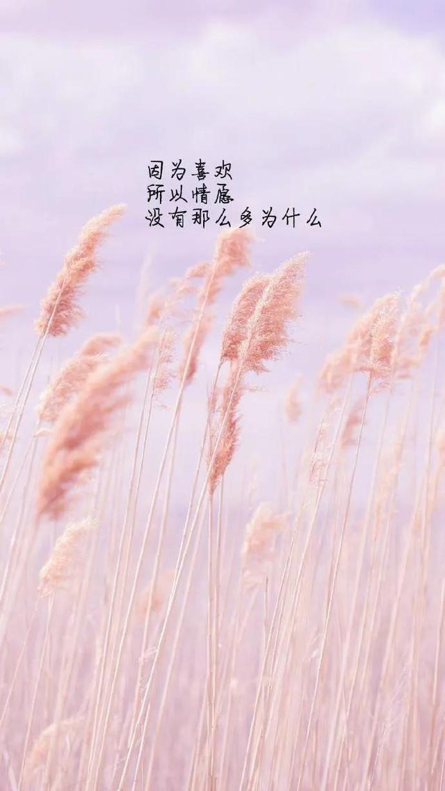 淺草淺草才能沒馬蹄的意思插圖3