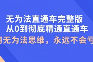 無為法直通車完整版：從0到徹底精通直通車，用無為法思維，永遠不會虧損