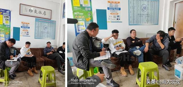 —個10畝魚塘養魚利潤10畝池塘養魚利潤插圖1