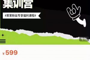 夜草與千里馬素人短視頻帶貨集訓營，薛輝團隊價值599