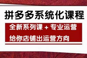 車神陪跑，拼多多系統化課程，全新系列課 專業運營給你店鋪出運營方向