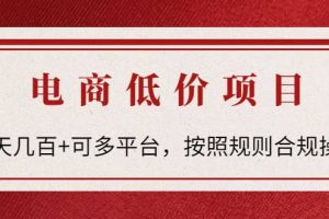 電商低價賠FU項(xiàng)目：按照規(guī)則合規(guī)操作