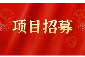 高鵬圈·藍海中視頻項目，長期項目，可以說字節不倒，項目就可以一直做！