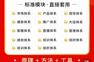 外面賣198·電商企業經營管理工具：全套執行落地方案 標準模塊·直接套用