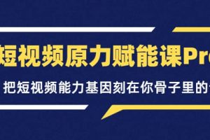 短視頻原力賦能課Pro，把短視頻能力基因刻在你骨子里的課（價值4999元）