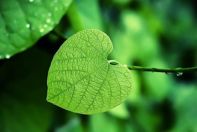 最聰明的存錢法12個月最聰明的存錢法是存折還是卡插圖4