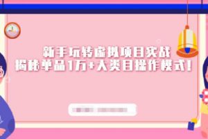 新手玩轉虛擬項目實戰，揭秘單品1萬 大類目操作模式【視頻課程】