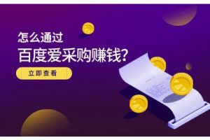 大王·怎么通過(guò)百度愛采購(gòu)賺錢，已經(jīng)通過(guò)百度愛采購(gòu)?fù)瓿?00多萬(wàn)的銷量