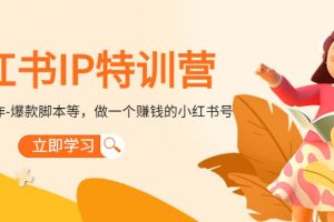 小紅書IP特訓營