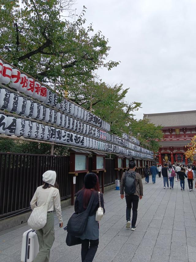 淺草淺草才能沒馬蹄亂花漸欲迷人眼是什么意思插圖2